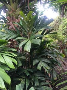 post-7381-0-05101500-1433062449_thumb.jp