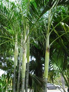 post-7381-0-05178900-1396847992_thumb.jp