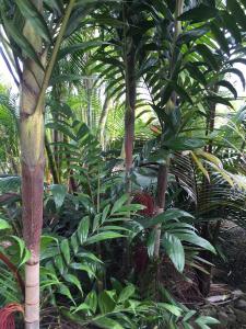 post-7381-0-05431800-1432890093_thumb.jp