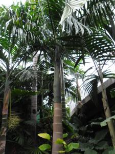 post-7381-0-05517400-1396855793_thumb.jp