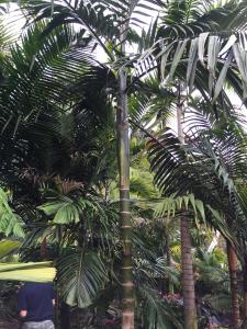 post-7381-0-05587900-1432884176_thumb.jp