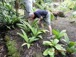 post-7381-0-06621800-1433065580_thumb.jp