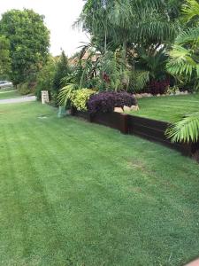 post-7381-0-06947200-1428823762_thumb.jp