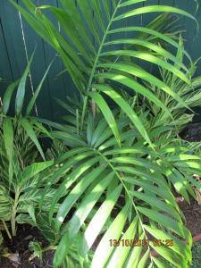 post-7381-0-08045200-1381611381_thumb.jp