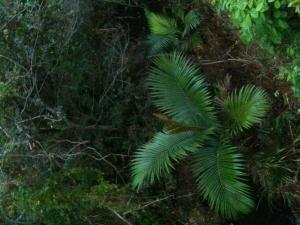 post-7381-0-08654100-1400706373_thumb.jp