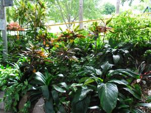 post-7381-0-09715600-1396861699_thumb.jp