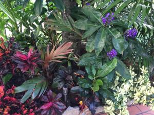 post-7381-0-11301600-1428825045_thumb.jp