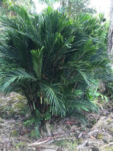 post-7381-0-11944600-1433063810_thumb.jp