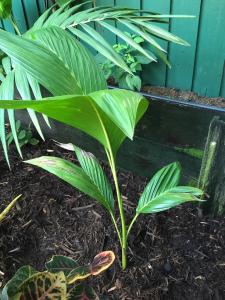 post-7381-0-12118100-1428828815_thumb.jp