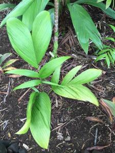 post-7381-0-12408500-1432886735_thumb.jp