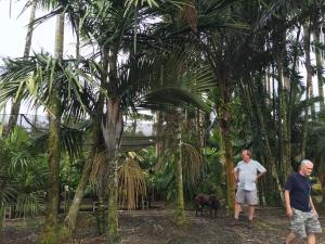 post-7381-0-14353900-1433062822_thumb.jp