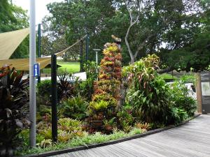 post-7381-0-15733800-1396860335_thumb.jp