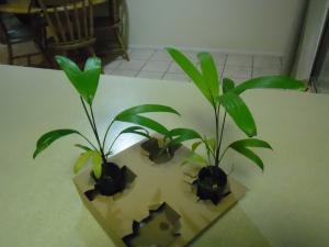 post-7381-0-16095900-1382176486_thumb.jp