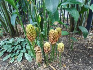 post-7381-0-22144400-1396861577_thumb.jp