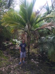 post-7381-0-22369300-1433061248_thumb.jp