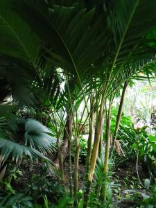 post-7381-0-25312200-1396854299_thumb.jp