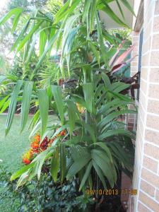 post-7381-0-27538900-1381568055_thumb.jp