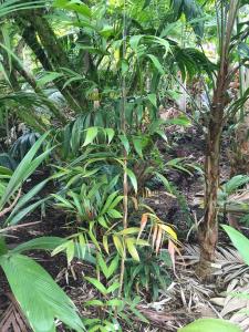 post-7381-0-29200400-1432886780_thumb.jp