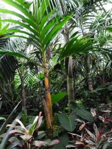 post-7381-0-37346500-1396857744_thumb.jp