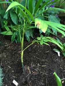 post-7381-0-39692300-1428829298_thumb.jp