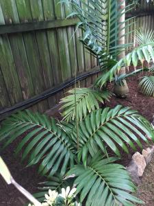 post-7381-0-40536600-1428829952_thumb.jp