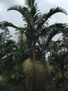 post-7381-0-41154900-1433058654_thumb.jp