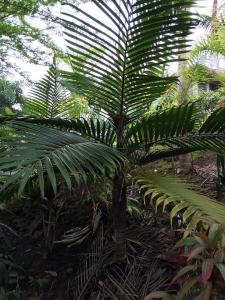 post-7381-0-41471300-1432886923_thumb.jp