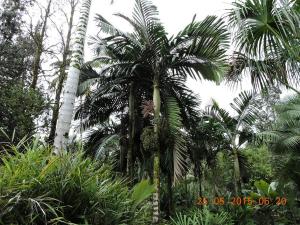 post-7381-0-43821900-1433064531_thumb.jp