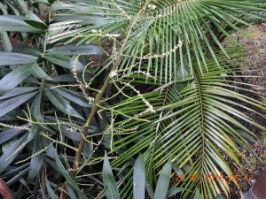 post-7381-0-44249200-1433064403_thumb.jp