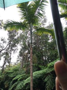 post-7381-0-44707000-1432770578_thumb.jp