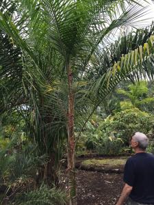 post-7381-0-45259900-1432885421_thumb.jp