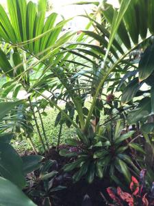 post-7381-0-45933800-1428825019_thumb.jp