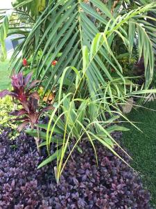 post-7381-0-45943000-1428824861_thumb.jp