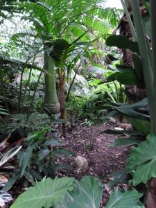 post-7381-0-46285700-1396857934_thumb.jp