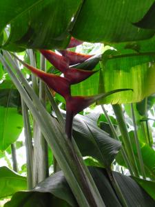 post-7381-0-47189000-1396861726_thumb.jp