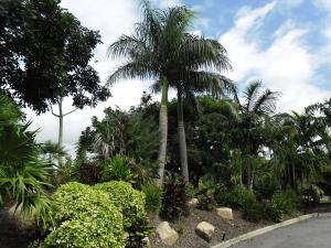 post-7381-0-47623400-1396848183_thumb.jp