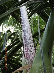 post-7381-0-49756900-1433063991_thumb.jp