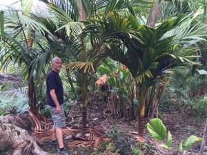 post-7381-0-54717700-1432885376_thumb.jp