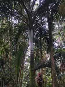 post-7381-0-55719300-1433062178_thumb.jp