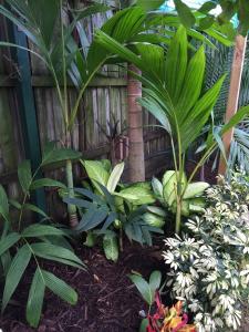 post-7381-0-55763400-1428829686_thumb.jp