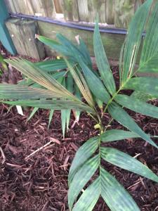 post-7381-0-57103400-1428829699_thumb.jp