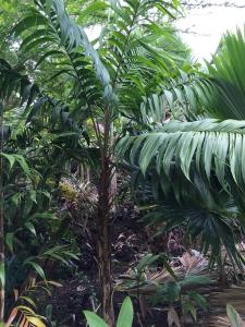 post-7381-0-59561500-1432886805_thumb.jp