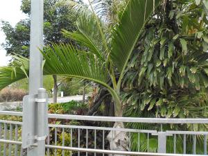 post-7381-0-63450100-1396861902_thumb.jp