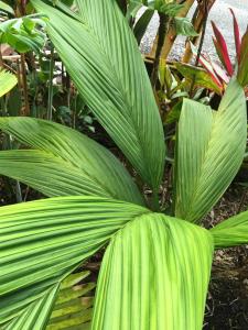 post-7381-0-65525500-1432884815_thumb.jp