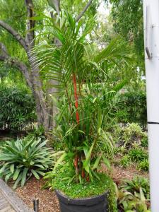 post-7381-0-66135900-1396860993_thumb.jp