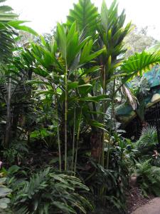 post-7381-0-69540800-1396857563_thumb.jp