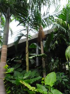 post-7381-0-71332900-1396855661_thumb.jp