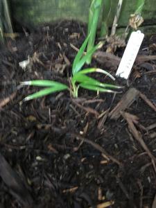 post-7381-0-72551400-1428828845_thumb.jp