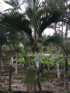 post-7381-0-73438900-1433063101_thumb.jp