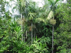 post-7381-0-74664400-1396861875_thumb.jp